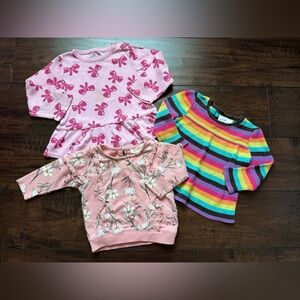 Toddler Girls Long Sleeve Tops Bundle 24M